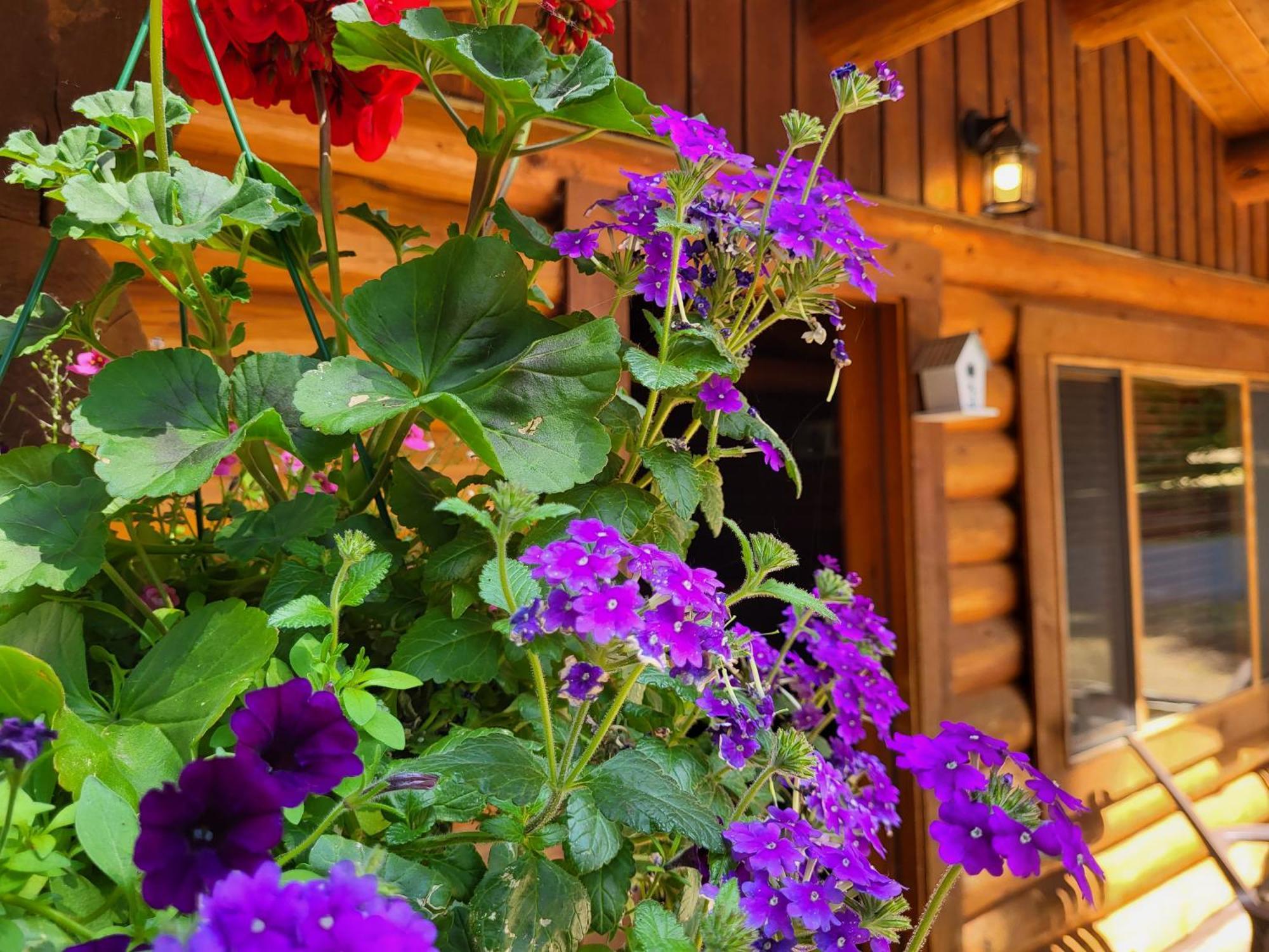 Riverbend Cottage & Rv Resort Парксвил Екстериор снимка